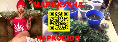 мяу мяу мука Будённовск