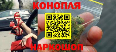 мяу мяу мука Будённовск