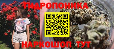 мяу мяу мука Будённовск