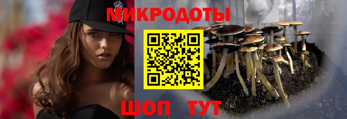 Псилоцибиновые грибы мицелий Первоуральск
